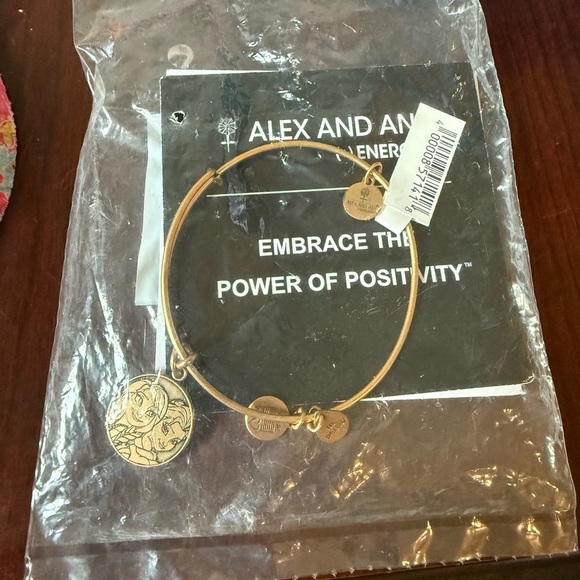 ALEX & ANI DISNEY PARKS "FROZEN'S" ELSA & ANNA Gold Bangle Bracelet 2014 Retired - Picture 6 of 7